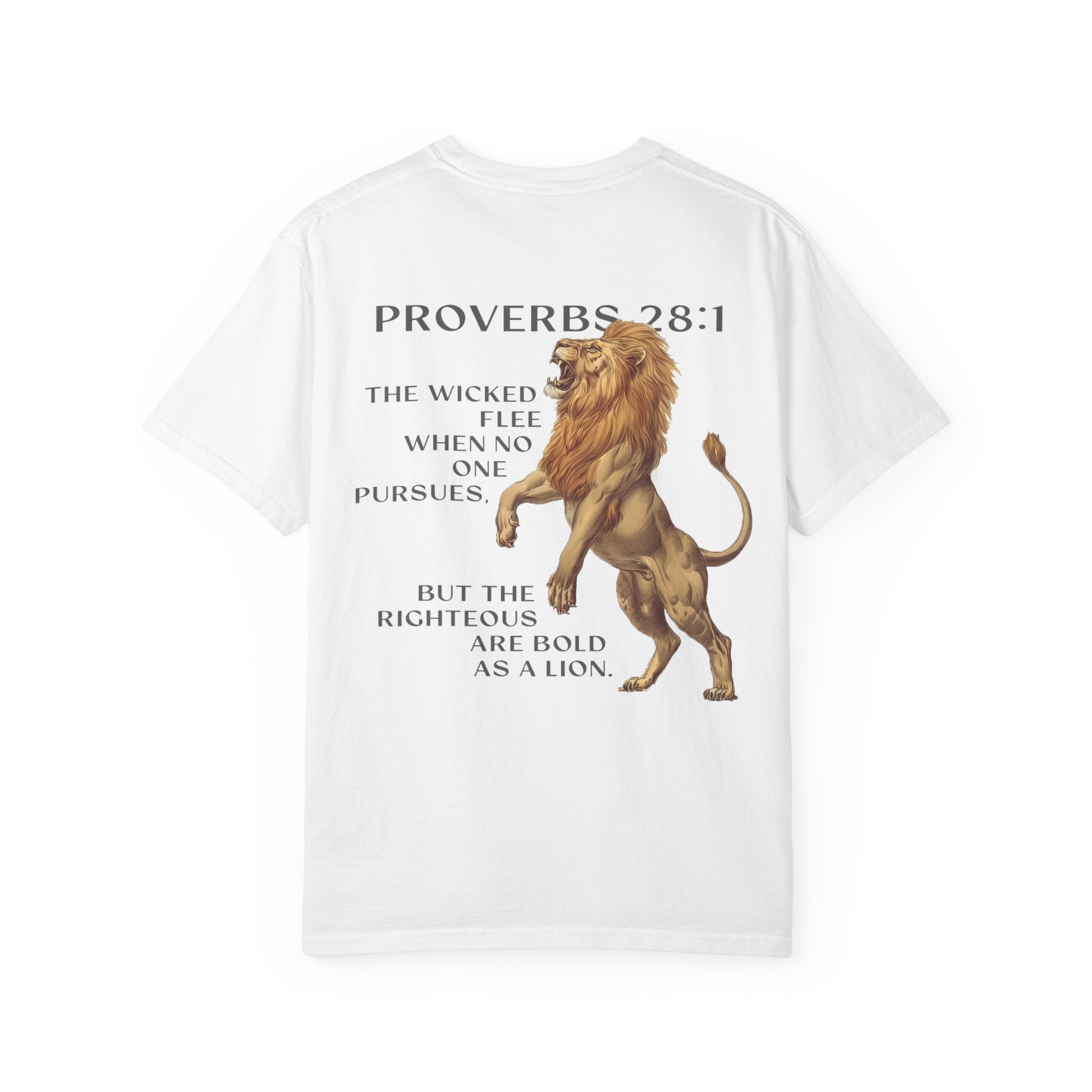 Proverbs 28:1